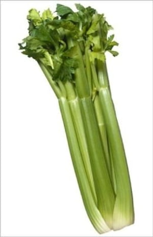 A Crash Course on How to Grow Celery