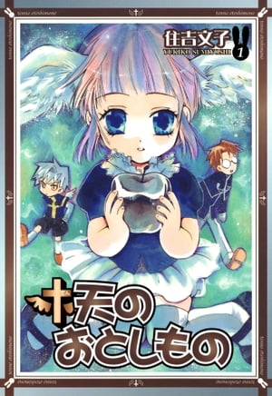 天のおとしもの