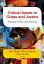 Critical Issues in Crime and Justice Thought, Policy, and PracticeŻҽҡ