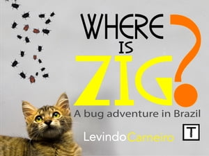 Where is Zig?
