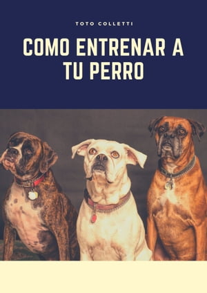 Como Entrenar a tu Perro