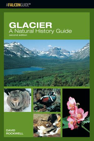 ＜p＞Author and naturalist David Rockwell explains the evolution of the park's geology from the erosion of Australian mountains more than a billion years ago to the glaciers that gave Glacier National Park its distinctive landscape. He explores the natural history of the plants and animals of the park's six distinct regions. You'll learn about the park's greatest predators, grizzly bears, mountain lions, and wolves, and about their complex relationship with their prey. The result is a fascinating and intimate portrait of one of the world's last truly wild places.＜/p＞画面が切り替わりますので、しばらくお待ち下さい。 ※ご購入は、楽天kobo商品ページからお願いします。※切り替わらない場合は、こちら をクリックして下さい。 ※このページからは注文できません。