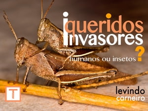 Queridos Invasores