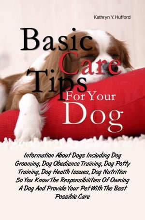 Basic Care Tips For Your Dog