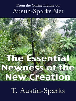 The Essential Newness of the New Creation