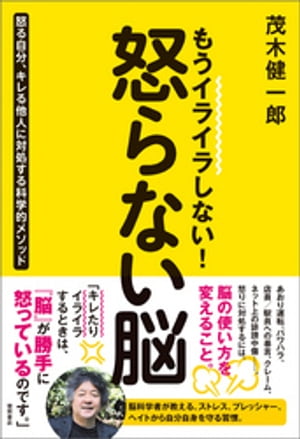 もうイライラしない！ 怒らない脳　怒る自分、キレる他人に対処する科学的メソッド【電子書籍】[ 茂木健一郎 ]