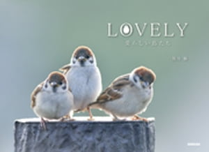 LOVELY 炵ydqЁz[ FJ ]