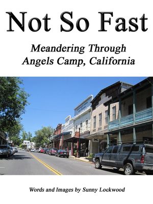 Not So Fast: Meandering Through Angels Camp, Cal