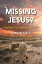 Missing Jesus? Finding The Shepherd We LostŻҽҡ[ John Wessels ]