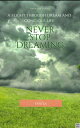 A flight through dream and concious life subjects as dreaming, living with a conscious mind an life issues concerneng mental health