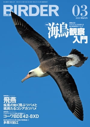 BIRDER2020年3月号