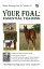 Your Foal: Essential Training