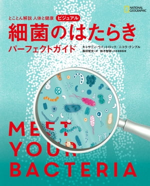 鈴木 智順