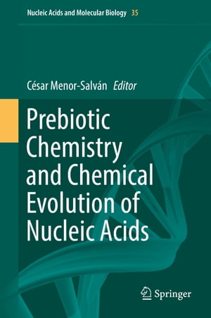 Prebiotic Chemistry and Chemical Evolution of Nucleic AcidsŻҽҡ