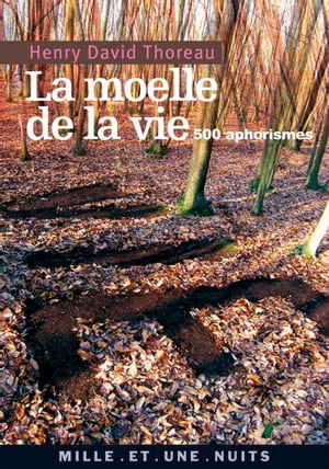 La Moelle de la vie 500 Aphorismes