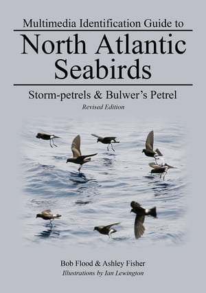 Storm-petrels Bulwer 039 s Petrel【電子書籍】 Bob Flood