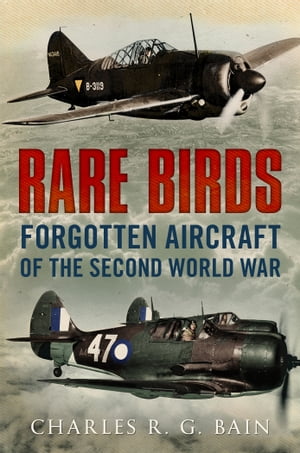 Rare Birds: Forgotten Aircraft of the Second World War