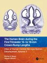 The Human Brain during the First Trimester 15- to 18-mm Crown-Rump Lengths Atlas...