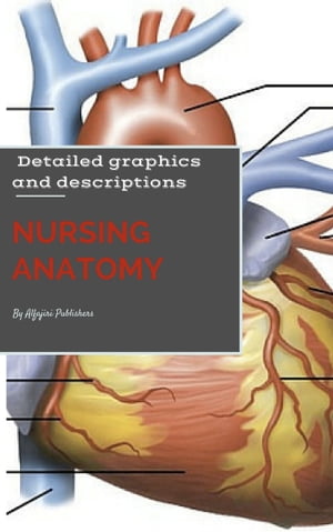 Nursing Anatomy & Physiology