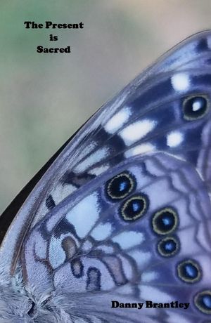 The Present is SacredŻҽҡ[ Danny Brantley ]