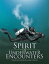 Spirit of Underwater Encounters