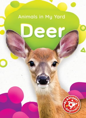 ＜p＞Look! A deer is bounding through the forest! This title introduces these graceful mammals to beginning readers throug...