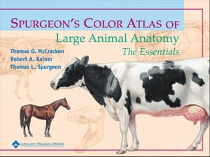 Spurgeon's Color Atlas of Large Animal Anatomy