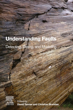 Understanding Faults