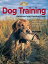 Dog Training: Retrievers and Pointing Dogs