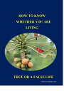 ŷKoboŻҽҥȥ㤨How To Know Whether You Are Living a True or False Life 2Żҽҡ[ Seed ]פβǤʤ1,050ߤˤʤޤ