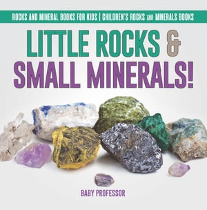 Little Rocks & Small Minerals! | Rocks And Mineral Books for Kids | Children's Rocks & Minerals Books