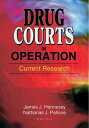 ŷKoboŻҽҥȥ㤨Drug Courts in Operation Current ResearchŻҽҡ[ James Joseph Hennessy ]פβǤʤ9,131ߤˤʤޤ