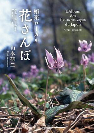 山本研二