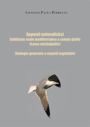 Appunti naturalistici - Gabbiano reale mediterraneo a zampe gialle (Larus michahellis)