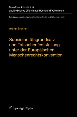 Subsidiaritätsgrundsatz und Tatsachenfeststellung unter der Europäischen Menschenrechtskonvention