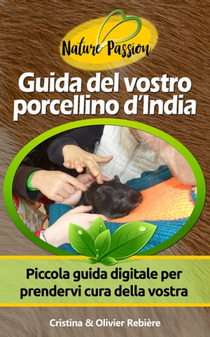 Guida del vostro porcellino d’India Piccola gu