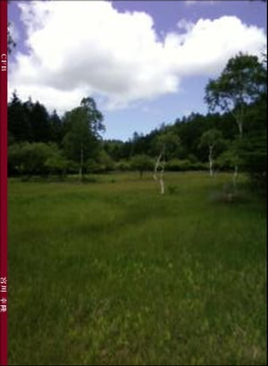 初心者の為の微積分【電子書籍】[ 宮川 幸隆 ]