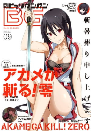 月刊ビッグガンガン 2016 Vol.09