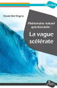 Ph?nom?ne naturel spectaculaire?: la vague sc?l?rate【電子書籍】[ David Del Regno ]