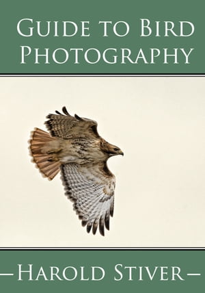 Guide to Photographing Birds