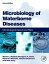 waterborne diseases and waterの画像