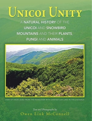 Unicoi Unity