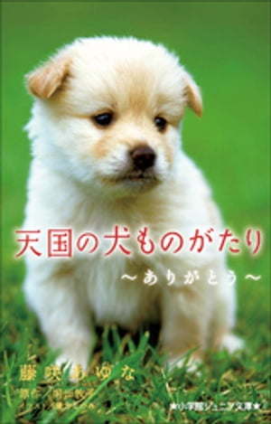 小学館ジュニア文庫　天国の犬ものがたり〜ありがとう〜