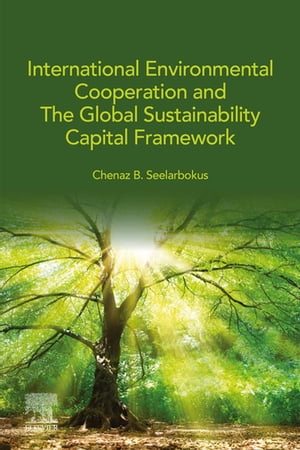 International Environmental Cooperation and The Global Sustainability Capital Framework