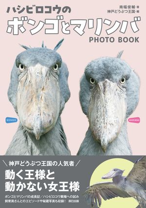 南幅俊輔