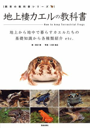 西沢雅