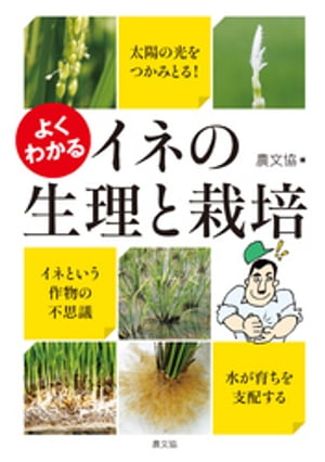 よくわかる イネの生理と栽培