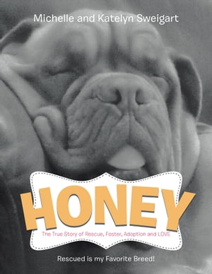 Honey The True Story of Rescue, Foster, Adoption