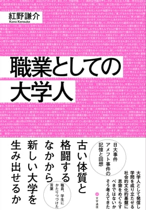 紅野謙介
