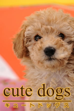 cute dogs02 gCv[hydqЁz